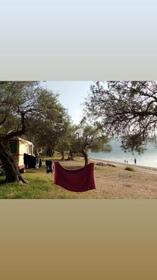 The Lake House" -Trichonida Lake Marathias  Bagian luar foto